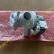 ( SP1630 ) Motor Bơm Xả Beko Cửa Trước
